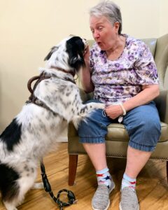 Top 5 Pet Therapy Benefits for Seniors